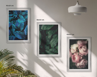 Set di 3 quadri Foglie, fiori, colori diversi