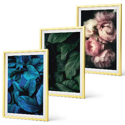 Set di 3 quadri Foglie, fiori, colori diversi