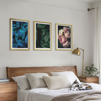 Set di 3 quadri Foglie, fiori, colori diversi