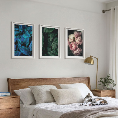 Set di 3 quadri Foglie, fiori, colori diversi