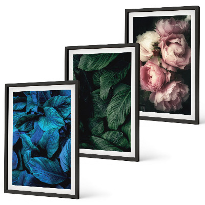 Set di 3 quadri Foglie, fiori, colori diversi