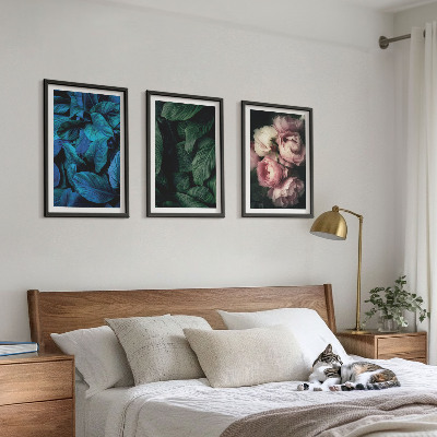 Set di 3 quadri Foglie, fiori, colori diversi