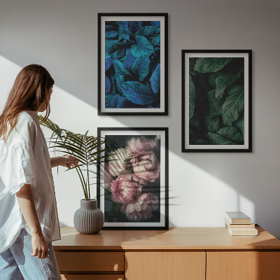 Set di 3 quadri Foglie, fiori, colori diversi