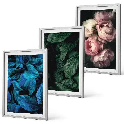 Set di 3 quadri con stampa di foglie e fiori in colori vari
