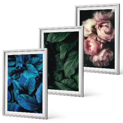 Set di 3 quadri Foglie, fiori, colori diversi