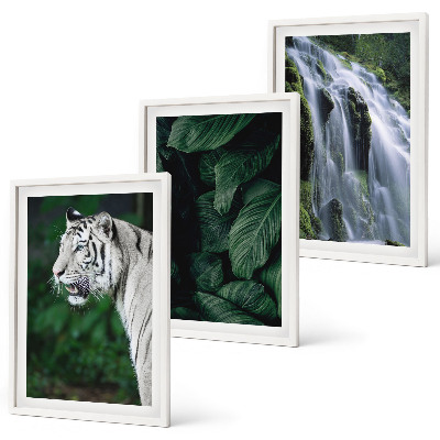 Composizione di quadri Cascata di foglie di tigre bianca
