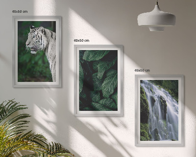 Composizione di quadri Cascata di foglie di tigre bianca