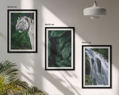Composizione di quadri Cascata di foglie di tigre bianca