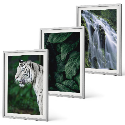Composizione di quadri Cascata di foglie di tigre bianca