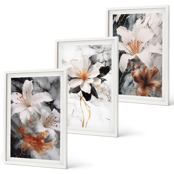 Set di quadri incorniciati Fiori marmo bianco nero