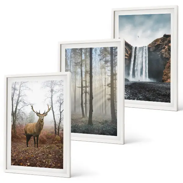 Set di quadri incorniciati con paesaggi di natura selvaggia e foreste