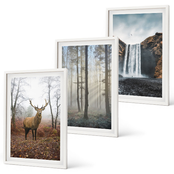 Set di quadri incorniciati Paesaggi forestali natura selvaggia