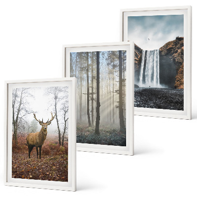 Set di quadri incorniciati Paesaggi forestali natura selvaggia