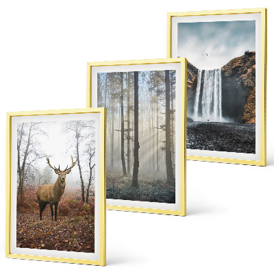 Set di quadri incorniciati Paesaggi forestali natura selvaggia