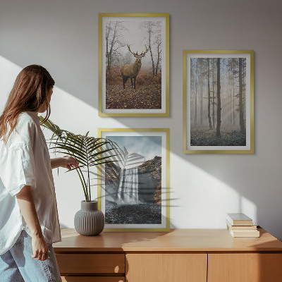 Set di quadri incorniciati Paesaggi forestali natura selvaggia