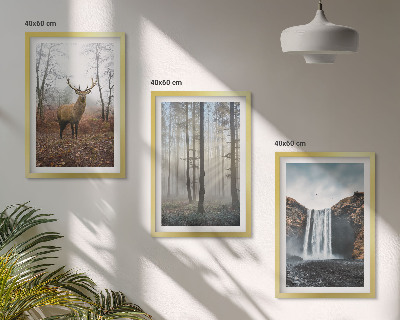 Set di quadri incorniciati Paesaggi forestali natura selvaggia