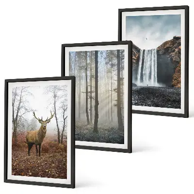 Set di quadri incorniciati con paesaggi di natura selvaggia e foreste