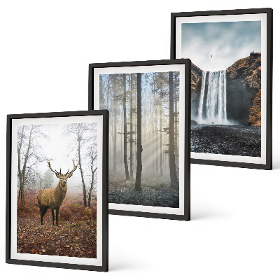 Set di quadri incorniciati Paesaggi forestali natura selvaggia