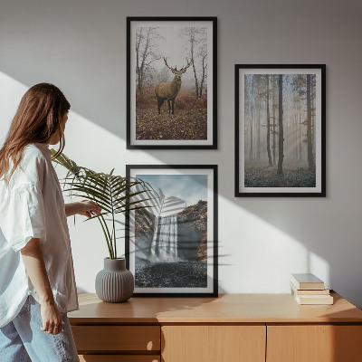 Set di quadri incorniciati Paesaggi forestali natura selvaggia