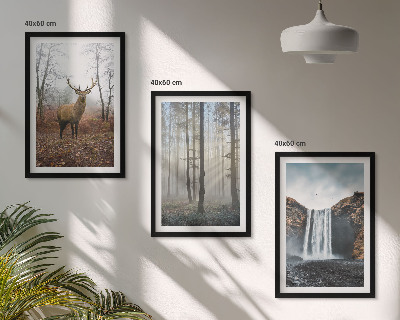 Set di quadri incorniciati Paesaggi forestali natura selvaggia