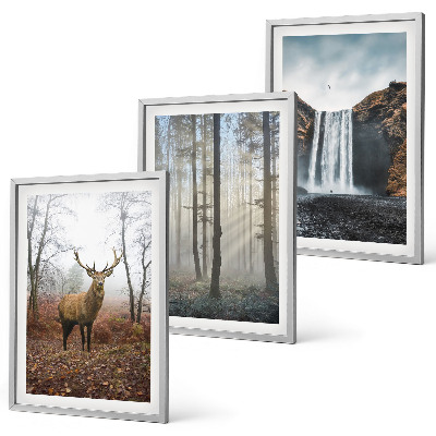 Set di quadri incorniciati Paesaggi forestali natura selvaggia