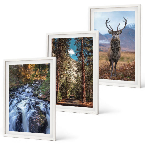 Set di 3 quadri cascata foresta montagne cervo natura