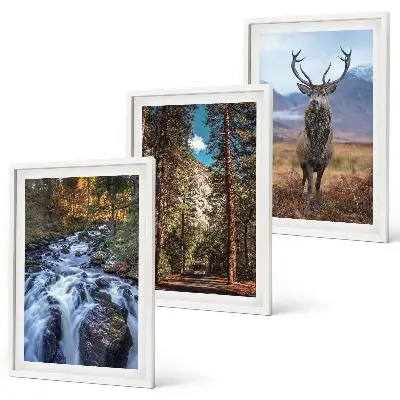 Set di 3 quadri con stampa di cascata, foresta, montagne e cervo