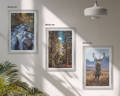 Set di 3 quadri cascata foresta montagne cervo natura