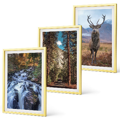 Set di 3 quadri cascata foresta montagne cervo natura