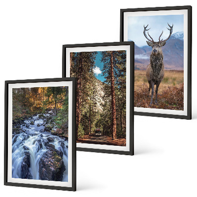 Set di 3 quadri cascata foresta montagne cervo natura