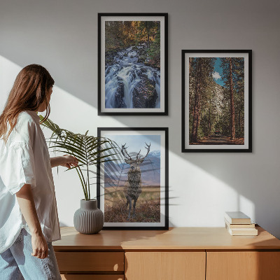 Set di 3 quadri cascata foresta montagne cervo natura