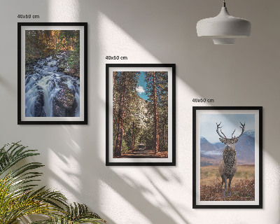 Set di 3 quadri cascata foresta montagne cervo natura