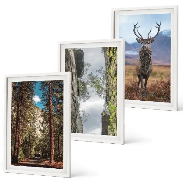 Composizione di quadri con paesaggio di strada nella foresta tra montagne e cervo