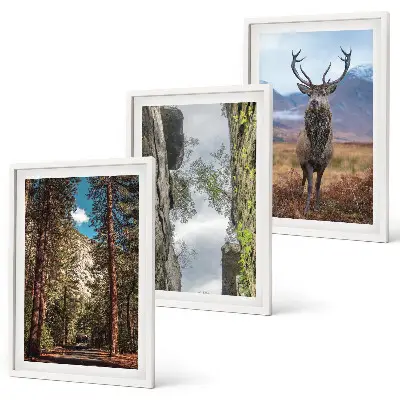 Composizione di quadri con paesaggio di strada nella foresta tra montagne e cervo