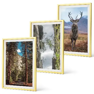 Composizione di quadri con paesaggio di strada nella foresta tra montagne e cervo