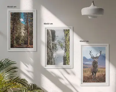 Composizione di quadri con paesaggio di strada nella foresta tra montagne e cervo