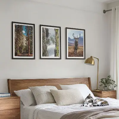Composizione di quadri con paesaggio di strada nella foresta tra montagne e cervo