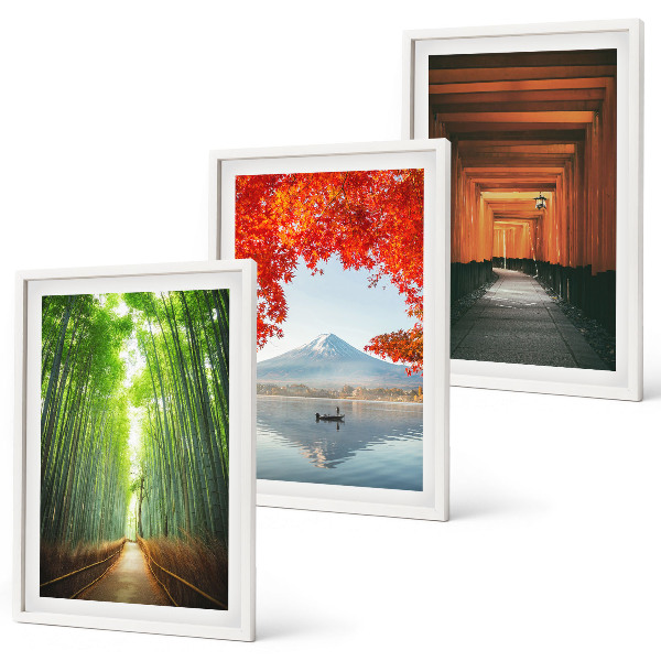 Set di quadri incorniciati Paesaggio della foresta di bambù del Fuji