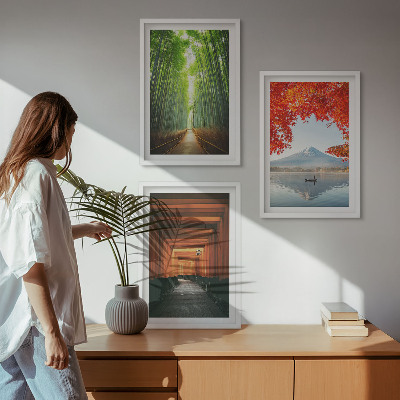 Set di quadri incorniciati Paesaggio della foresta di bambù del Fuji