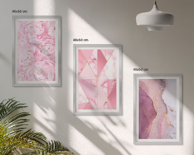 Set di 3 quadri Peonie geometriche rosa