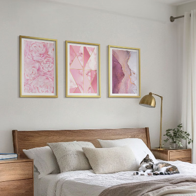 Set di 3 quadri Peonie geometriche rosa
