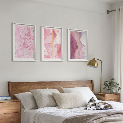 Set di 3 quadri Peonie geometriche rosa