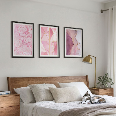 Set di 3 quadri Peonie geometriche rosa