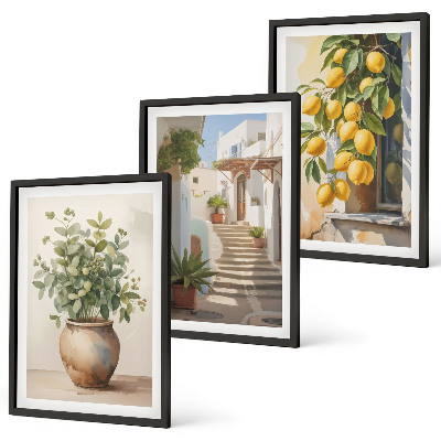 Composizione di quadri Piante in vaso, limoni, strada