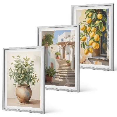 Composizione di quadri Piante in vaso, limoni, strada