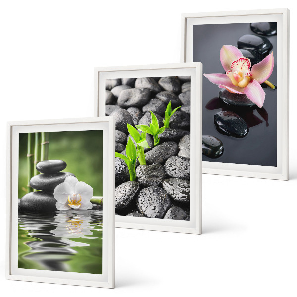 Set di quadri incorniciati Una tranquilla composizione zen di fiori e acqua.
