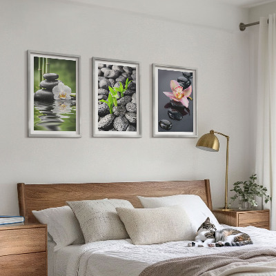 Set di quadri incorniciati Una tranquilla composizione zen di fiori e acqua.