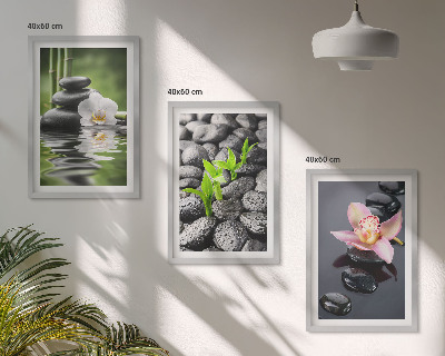 Set di quadri incorniciati Una tranquilla composizione zen di fiori e acqua.