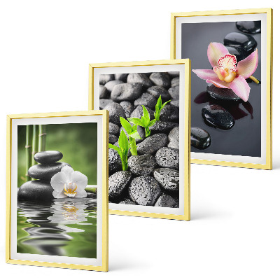 Set di quadri incorniciati Una tranquilla composizione zen di fiori e acqua.