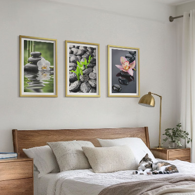 Set di quadri incorniciati Una tranquilla composizione zen di fiori e acqua.